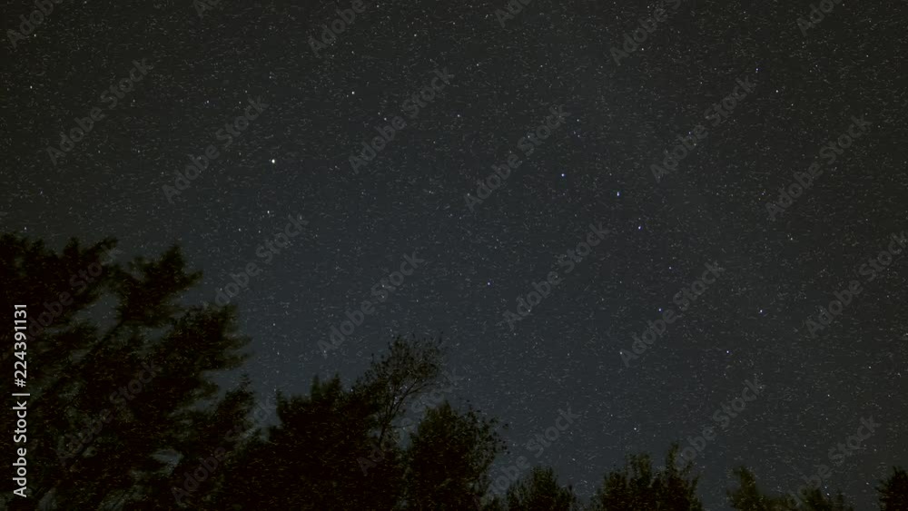 Millions of Mosquitoes at night. Millions of Mosquitoes at night.