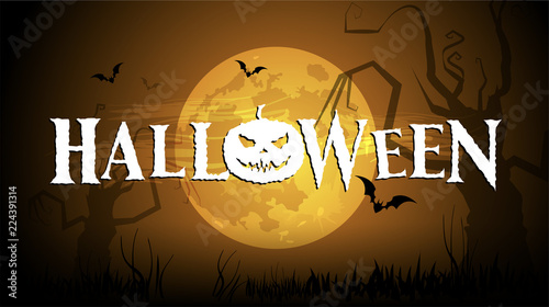 Halloween, zucche, zucca, paura, tutti i santi