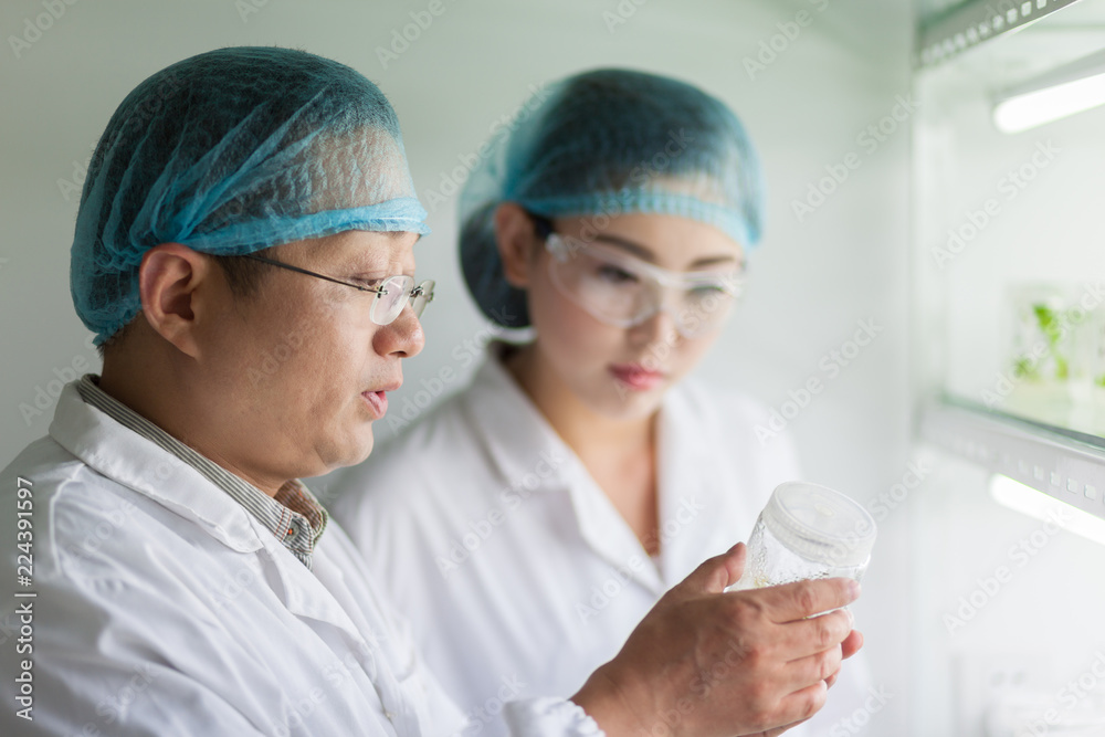 Fototapeta premium people working at laboratory