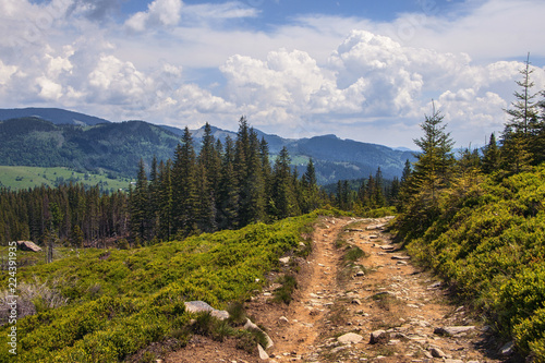 Road in Karpaty mountains