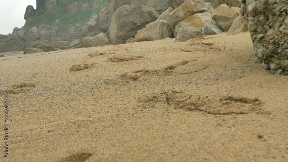 Wild rocky beach overcast at the cloudy day Wild rocky beach overcast at the cloudy day