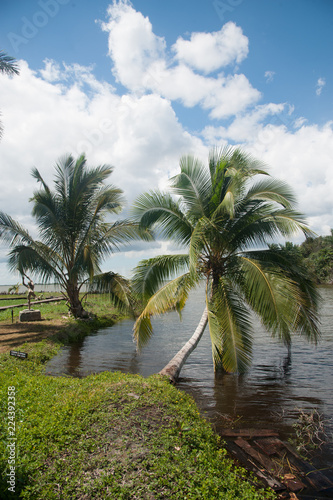 Scenic views from paradise island