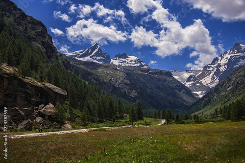 landscape in the alps