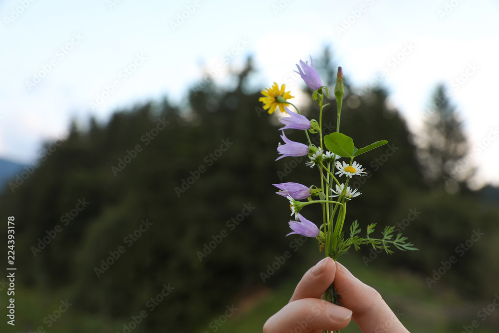 Woman holding blooming meadow flowers outdoors, closeup with space for text