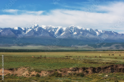 Panorama of Altai mountains...