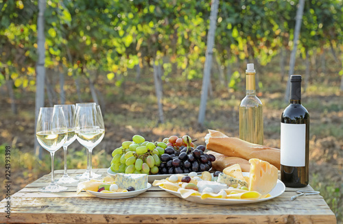 Fototapeta Naklejka Na Ścianę i Meble -  Wine, cheese and grapes on wooden table. Vineyard picnic