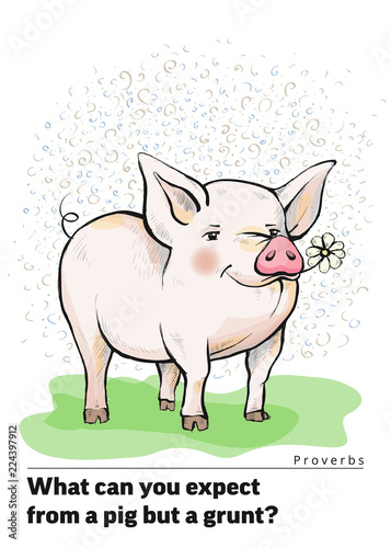 Series of postcards with a piglet. Proverbs and sayings.What can you expect from a pig but a grunt Pig standing on the grass. Piggy is eating a chamomile flower. Hand-drawn. Cartoon. Watercolor style