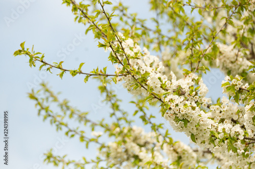 Frühling