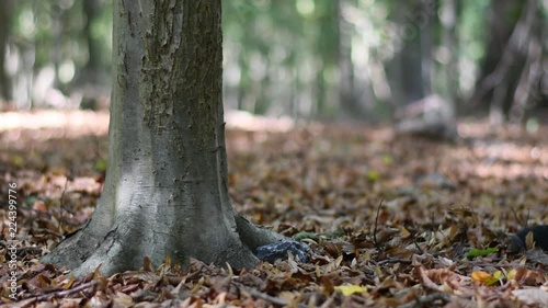 geocaching in 4k uhd