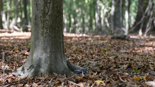 geocaching in 4k uhd
