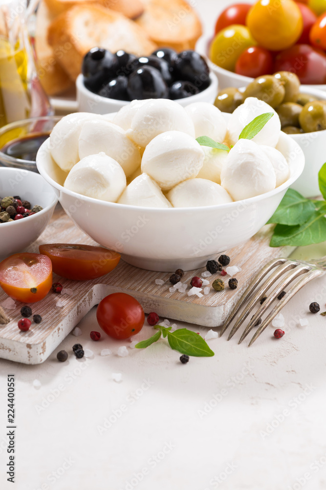 ingredients for salad with mozzarella, vertical ingredients for salad with mozzarella, vertical