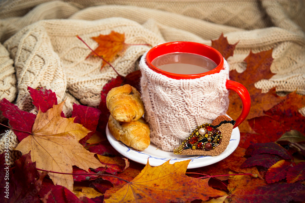 Coffee mug in maple leaves and jacket Coffee mug in maple leaves and jacket