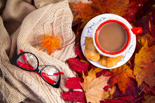 Coffee mug in maple leaves and jacket © zaharov43