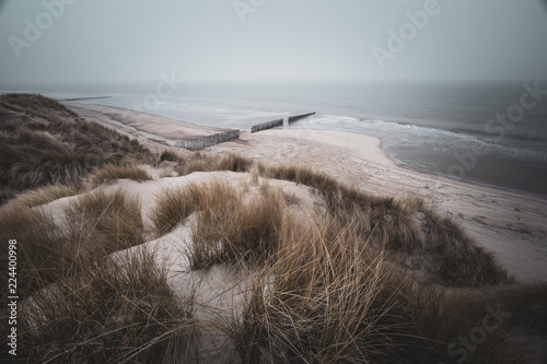 Fototapeta Wydmy na plaży z mgłą