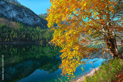 Fototapeta Naklejka Na Ścianę i Meble -  autumn scenery with Dachstein mountain summit reflecting in crystal clear Gosausee mountain lake