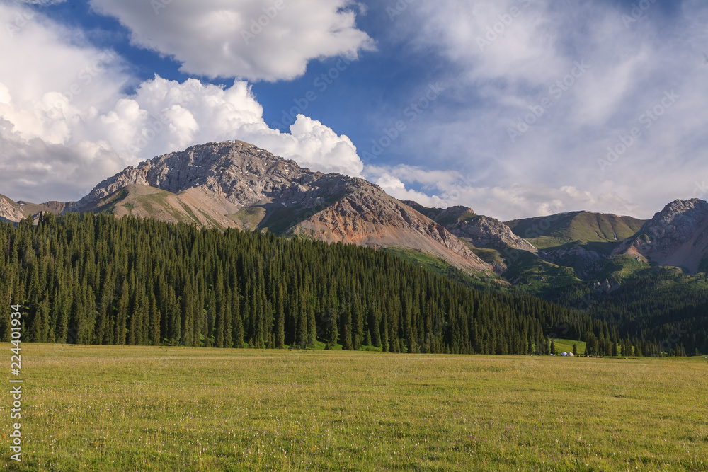 Habitation of the shepherd in a mountain valley Habitation of the shepherd in a mountain valley