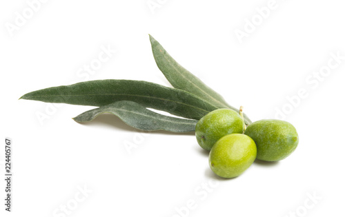 fresh olives with leaves isolated