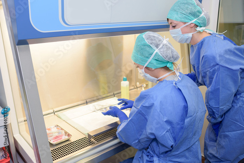 two young people do cultivating scientific research experiment