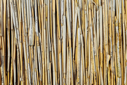 texture fence reed
