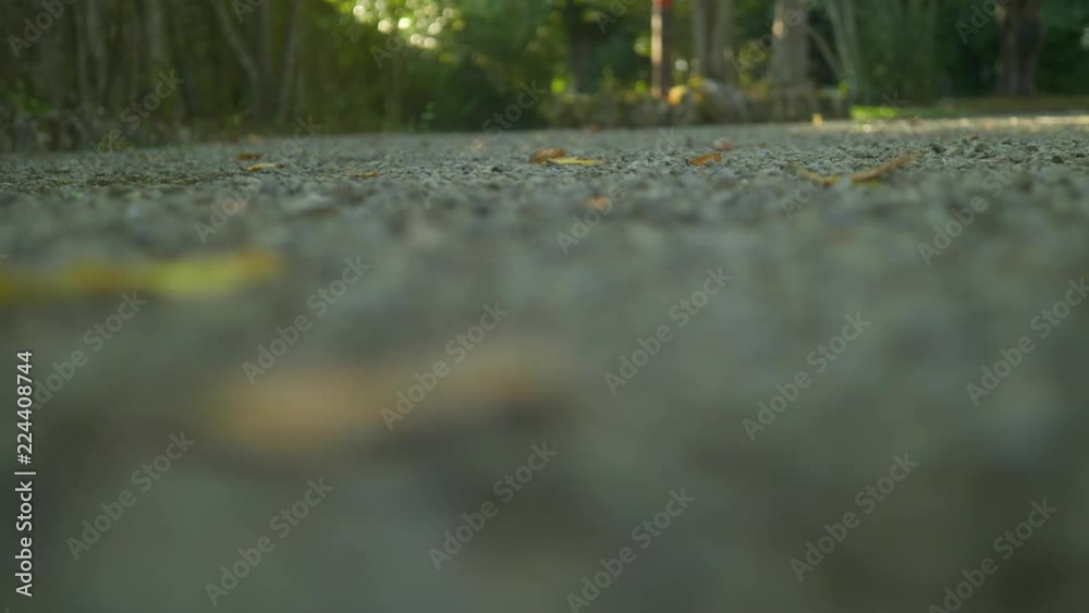 Artistic camera focus transfering Artistic camera focus transfering