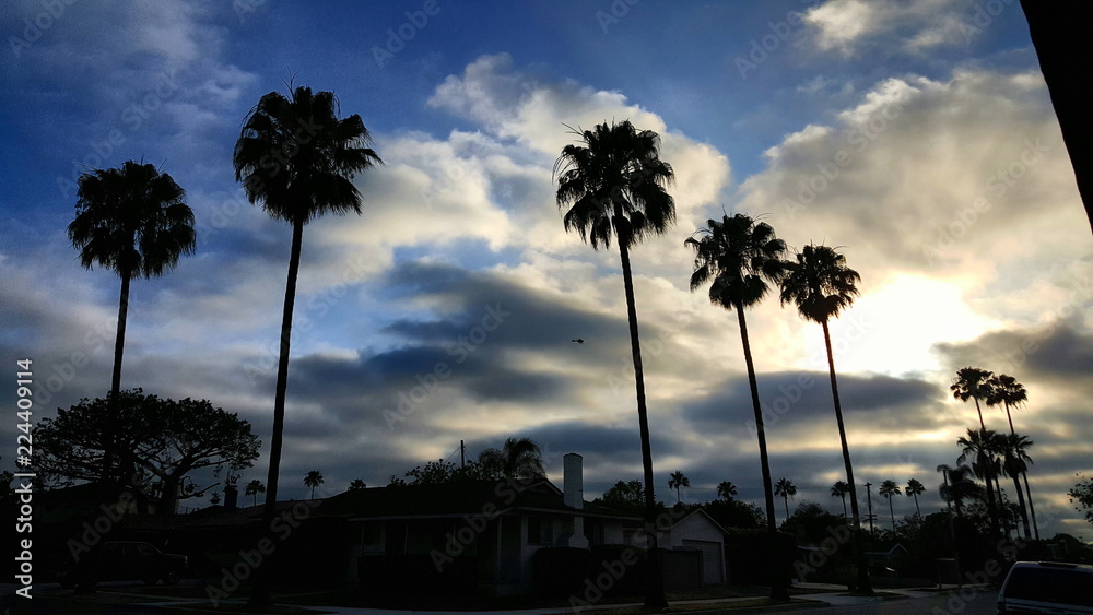 Obraz premium Landscape Clouds Skyline 