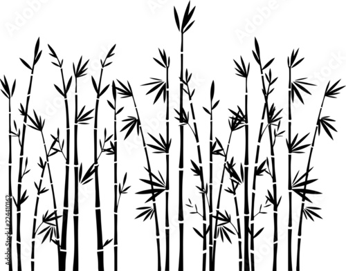 Bambus Silhouette