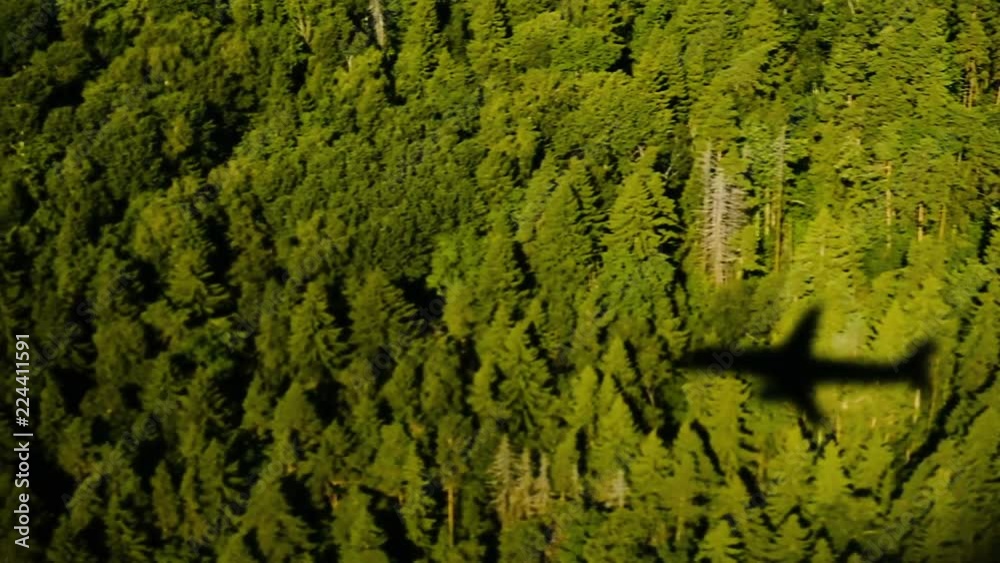 Silhouette and shadow of an airplane flying over a green forest, slow motion. Silhouette and shadow of an airplane flying over a green forest, slow motion.