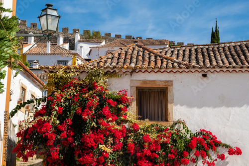 Historic village, Obidos