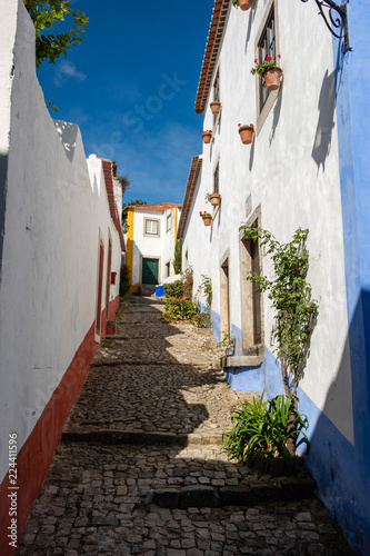 Historic village, Obidos © Costinhaa