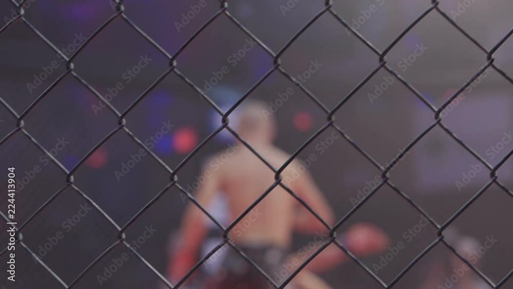 Athletes in the ring extreme Sport mixed martial arts competition tournament series MMA. Octagonal ring for fights. Blurred. Athletes in the ring extreme Sport mixed martial arts competition tournament series MMA. Octagonal ring for fights. Blurred.