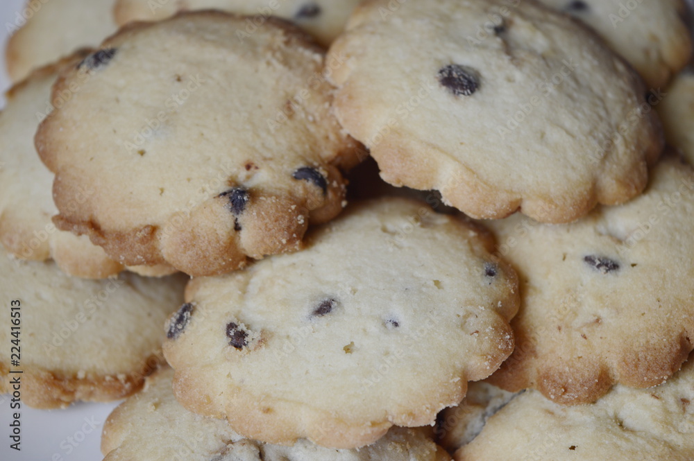 Homemade vanilla cookies with chocolate chips Homemade vanilla cookies with chocolate chips