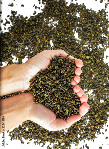 hands holding Chinese teguanin tea, on white background. photo