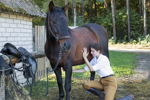 Girl is cleaning a horse before trip