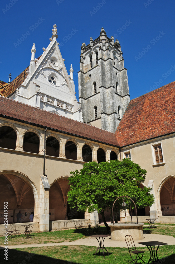 Monastero Reale di Brou - Monastère royal de Brou à Bourg-en-Bresse, Francia