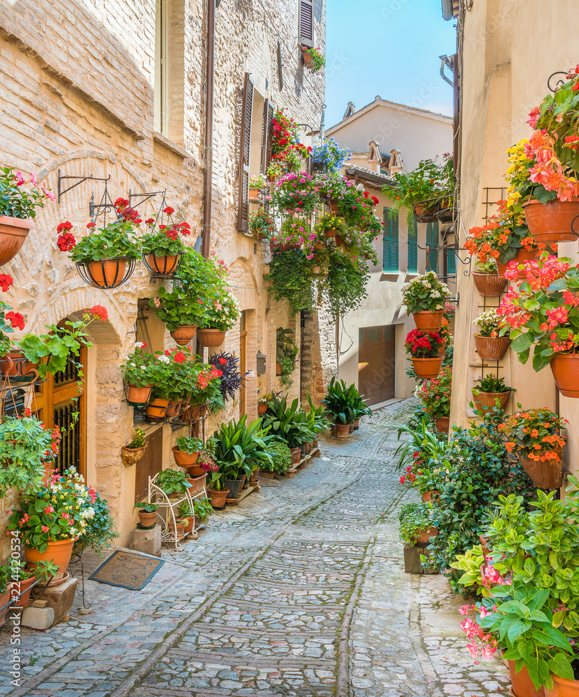 Obraz Sceniczny widok w Spello, kwiaciastej i malowniczej wiosce w Umbria, prowincja Perugia, Włochy.