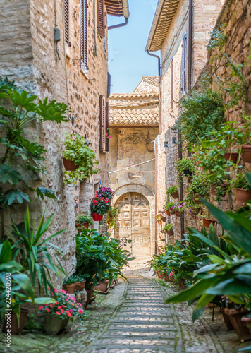 Fototapeta Naklejka Na Ścianę i Meble -  Scenic sight in Spello, flowery and picturesque village in Umbria, province of Perugia, Italy.