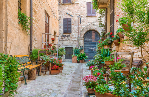 Fototapeta Malowniczy widok w Spello, kwiecista i malownicza wioska w Umbrii, w prowincji Perugia, Włochy.