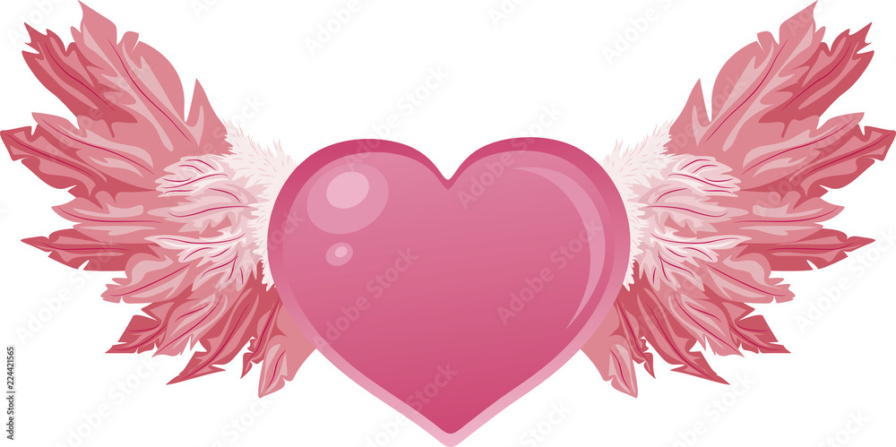 Beautiful pink heart with fluffy pink wings, excellent I illustration for anniversary, Valentine's day, wedding, holiday, postcards, banner, decoration Beautiful pink heart with fluffy pink wings, excellent I illustration for anniversary, Valentine's day, wedding, holiday, postcards, banner, decoration