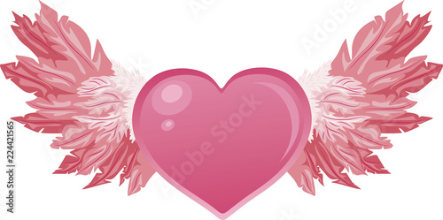 Beautiful pink heart with fluffy pink wings, excellent I illustration for anniversary, Valentine's day, wedding, holiday, postcards, banner, decoration