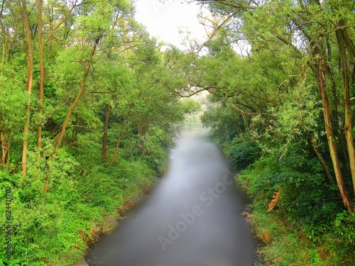 River Opava flowing between tree branches at summer evening