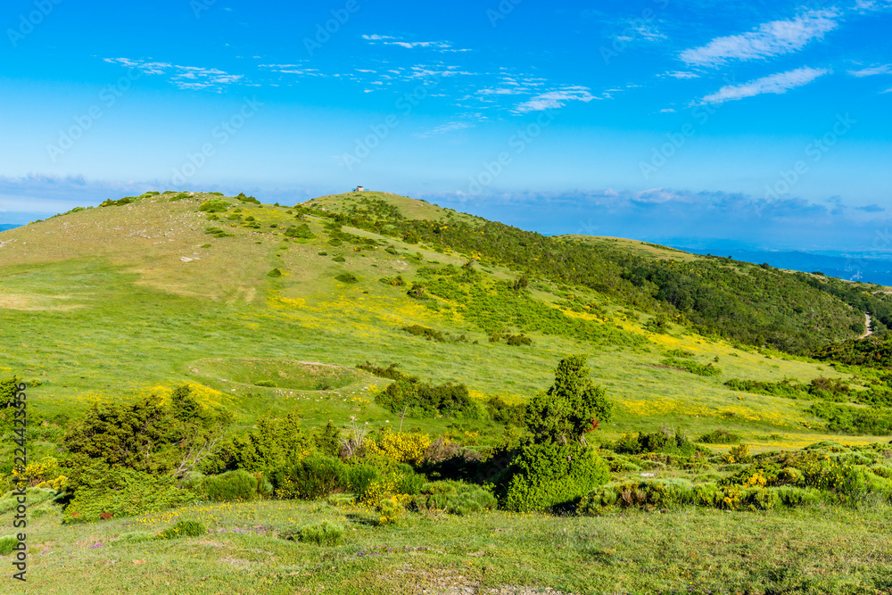 Foto de Hiking in the mountains (Peak of Matagalls, Montseny Natural