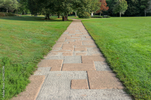 Fototapeta Naklejka Na Ścianę i Meble -  path in the park