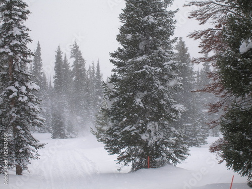 Rabbit Ears pass