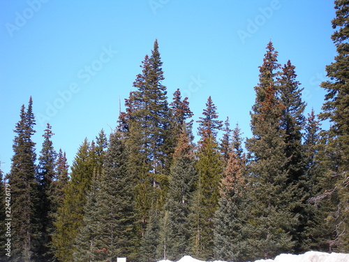 Rabbit Ears pass