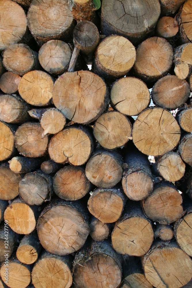 pile of wood logs large and small pile of wood logs large and small