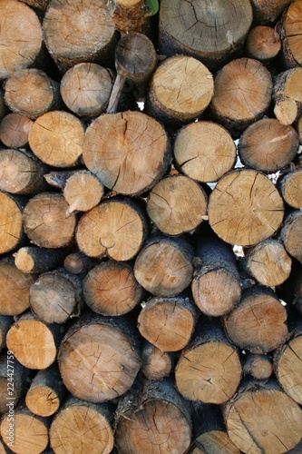 pile of wood logs large and small