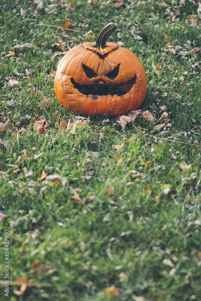 Scary decomposing pumpkin Scary decomposing pumpkin