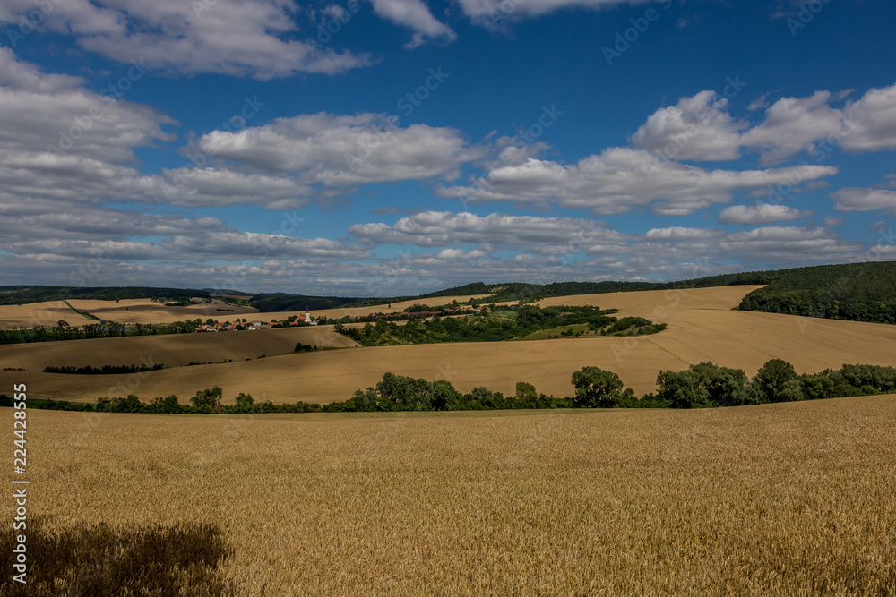 Fields in the vicinity of Svatobořice and Mistrin during the summer days before harvesting cereals. A gorgeous sky full of clouds, the paths that go between the field and the meadows. This area where 