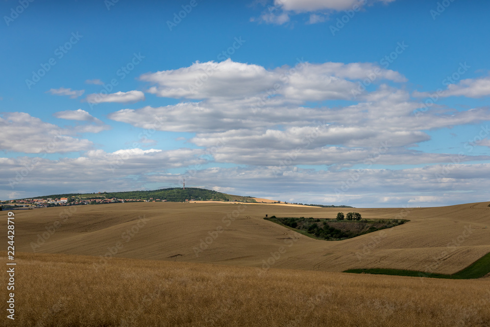 Moravian Tuscany. Fields in the vicinity of Svatobořice and Mistrin during the summer days before harvesting cereals. A gorgeous sky full of clouds, the paths that go between the field and the meadows Moravian Tuscany. Fields in the vicinity of Svatobořice and Mistrin during the summer days before harvesting cereals. A gorgeous sky full of clouds, the paths that go between the field and the meadows
