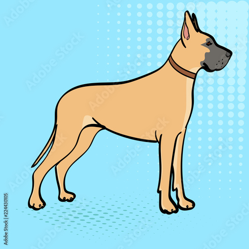 Great Dane breed of domestic dog. Pop art background. Retro style, comic emulation.